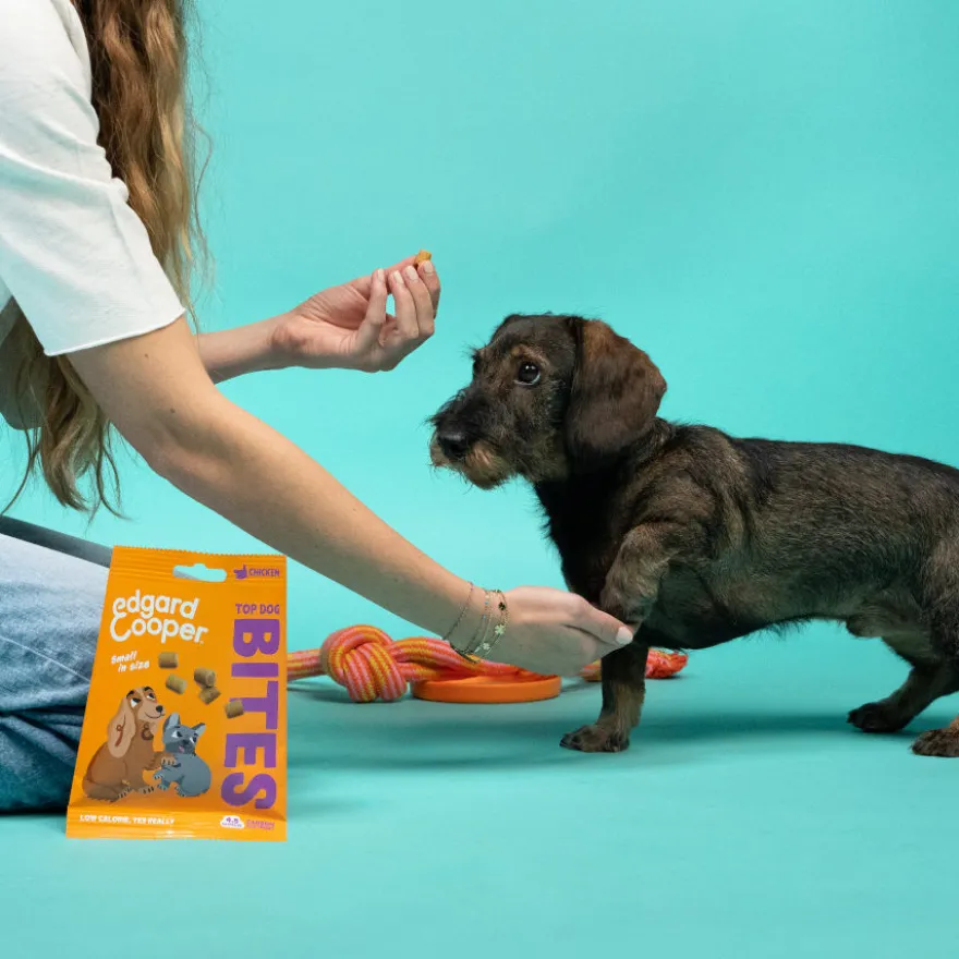 Edgard & Cooper Snacks Mini de Frango para cães