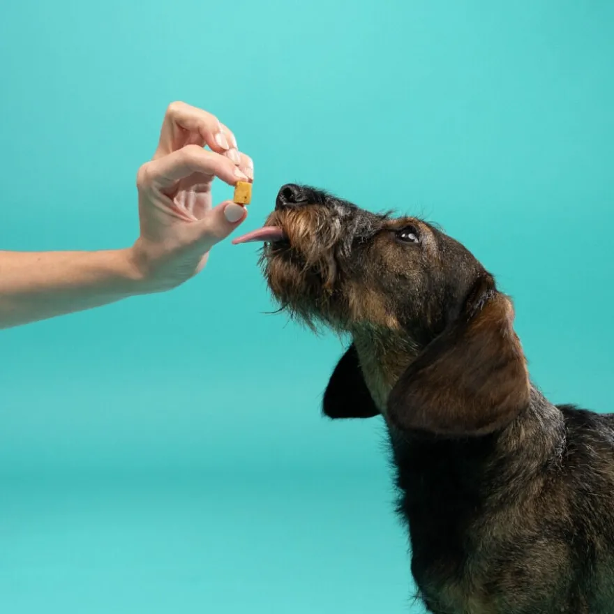 Edgard & Cooper Snacks Mini de Maçã para cães