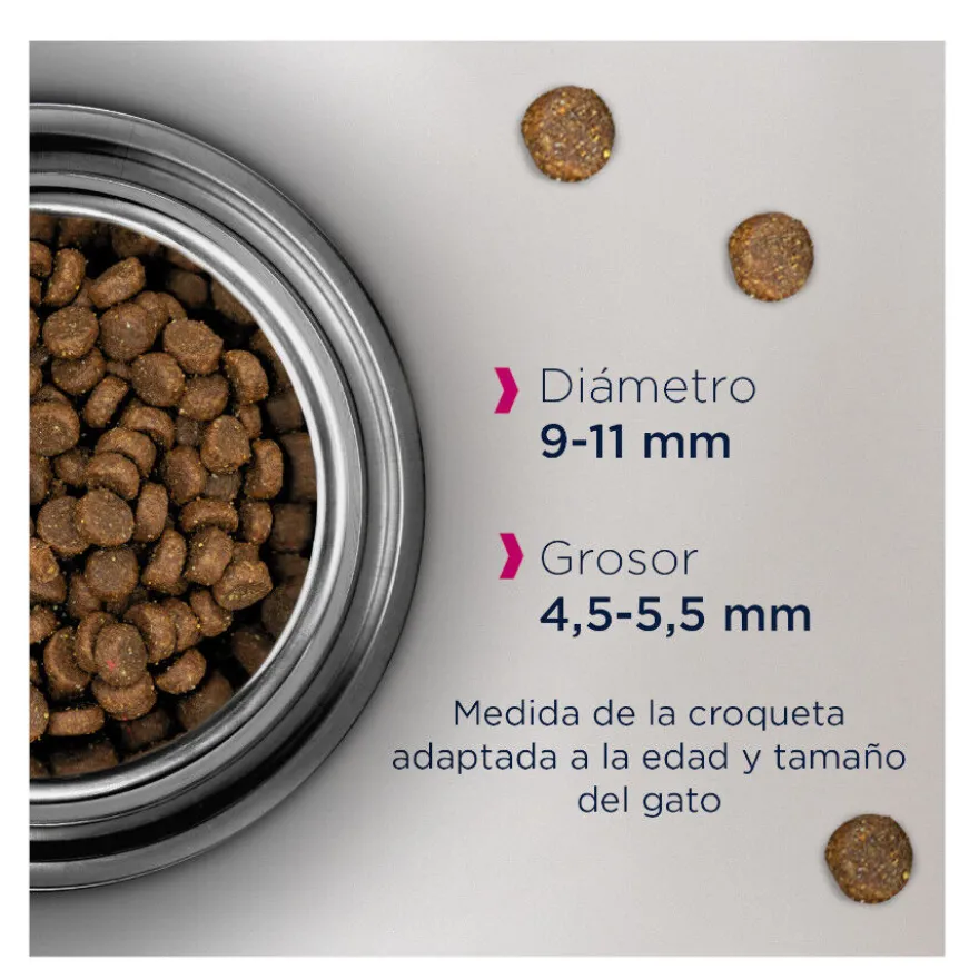 Eukanuba Adult frango ração para gatos