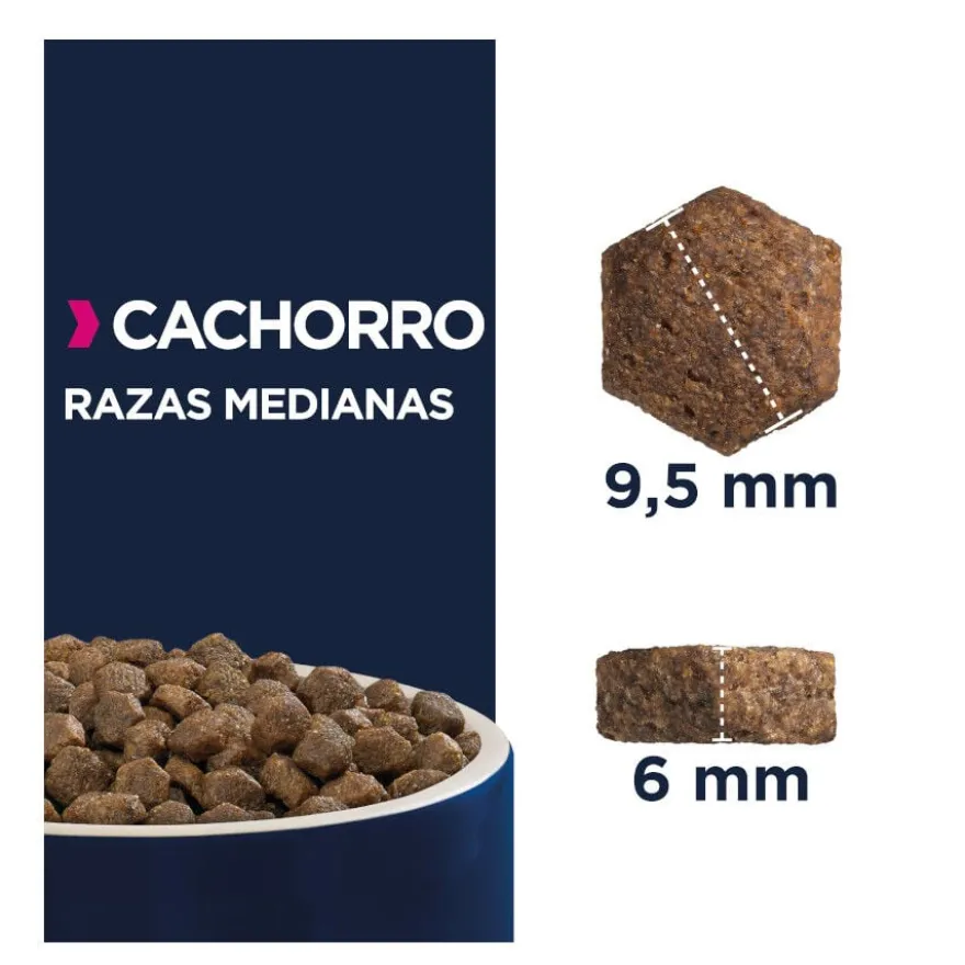 Eukanuba Puppy Medium Ração de frango para cães