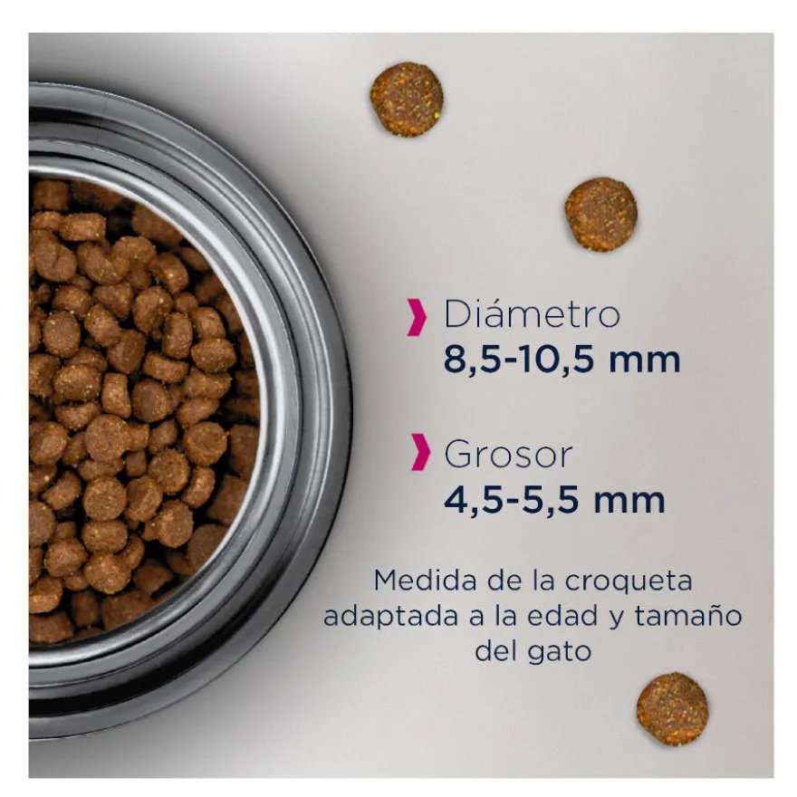 Eukanuba Senior Frango ração para gatos
