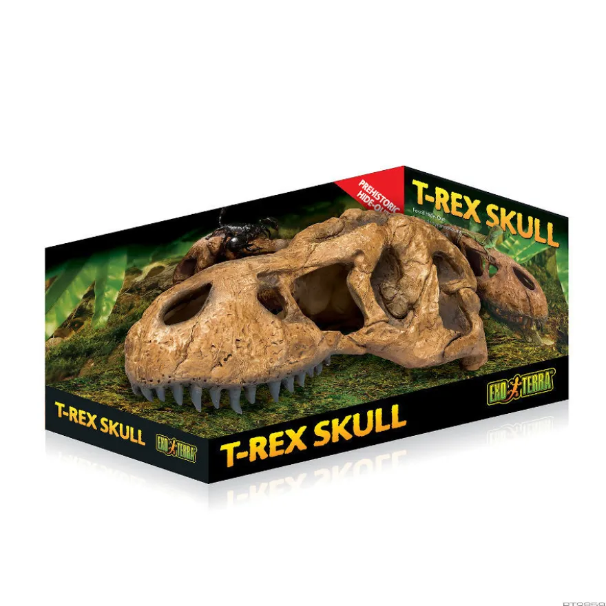 Exo Terra Crânio de T-Rex Gruta para terrários