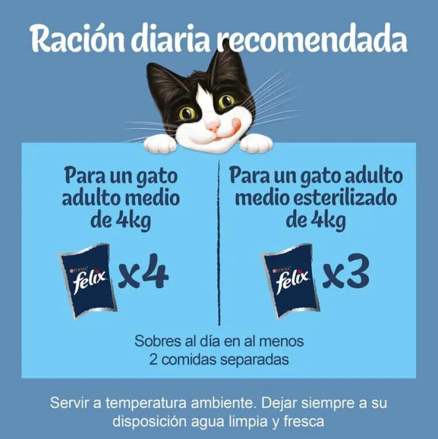 Felix Seleccion Peixes Saquetas em geleia para gatos - Multipack