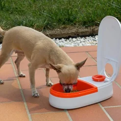 Ferplast Cometa Dispensador Automático de Alimentos para cães e gatos