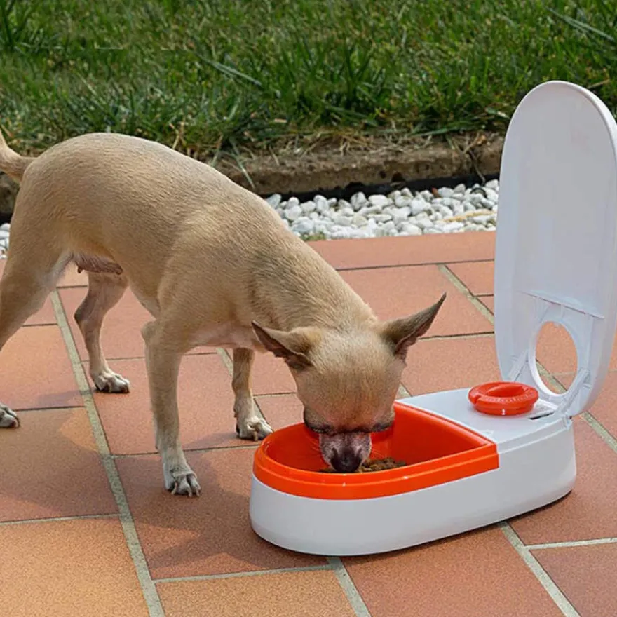 Ferplast Cometa Dispensador Automático de Alimentos para cães e gatos