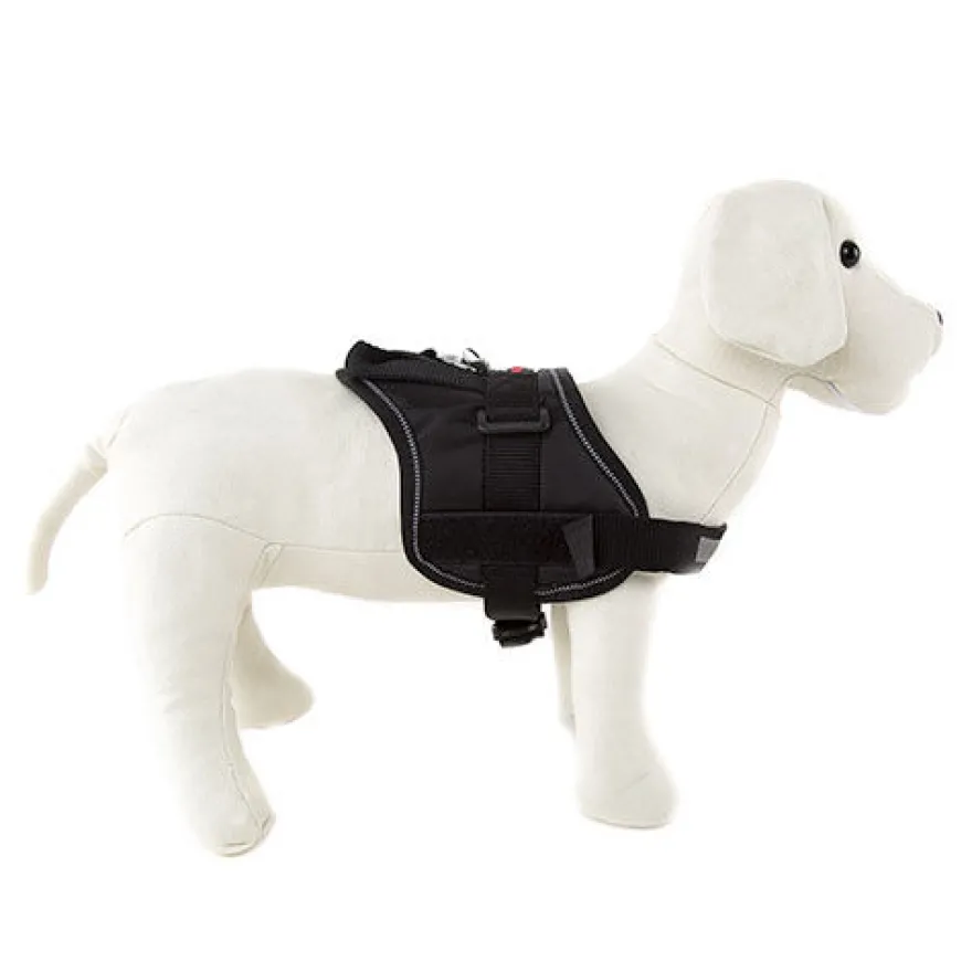 Flamingo Peitoral acolchoado preto para cães