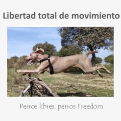 Freedom and Color Anti-puxão Azul para cães