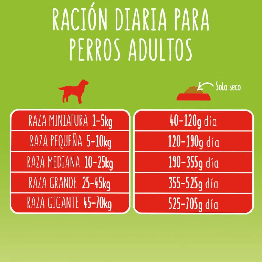 Friskies Adult Carne e Legumes ração para cães