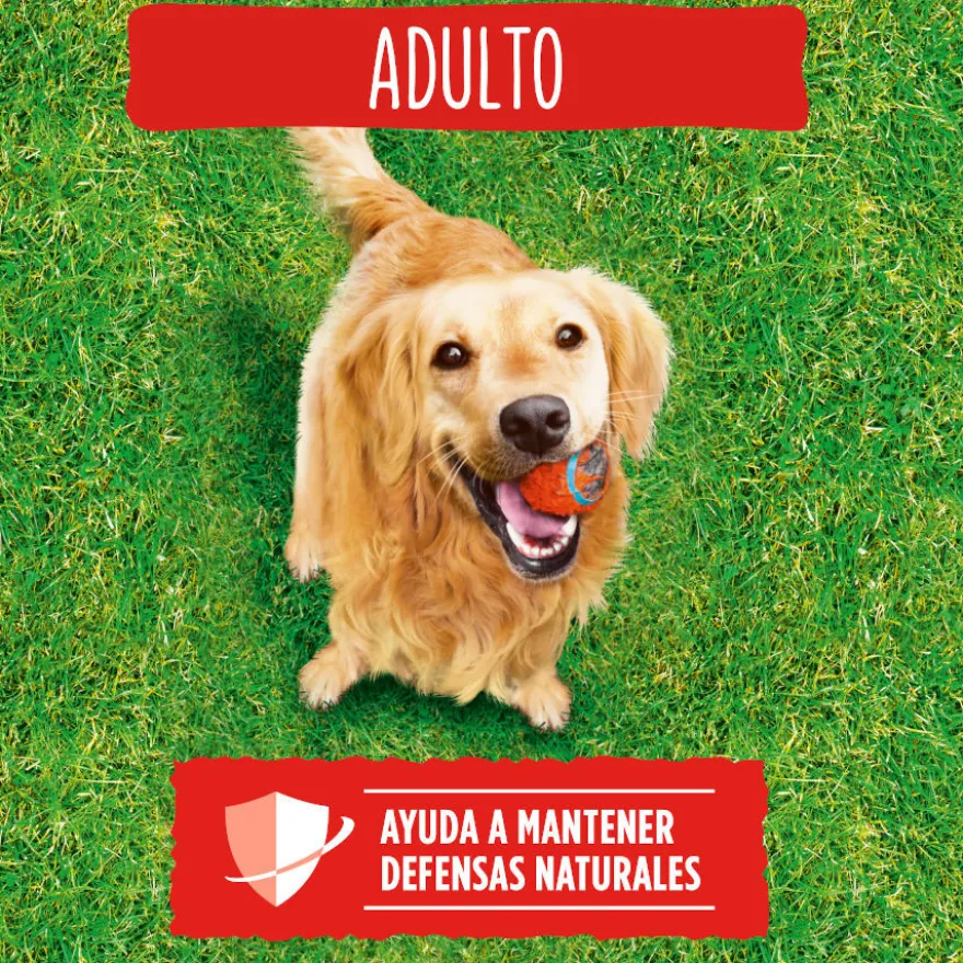 Friskies Adult Carne e Legumes ração para cães