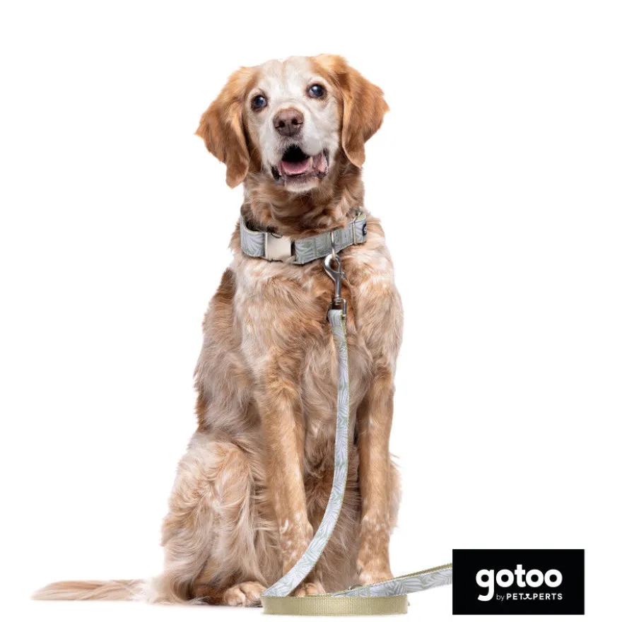 Gotoo Coleira com estampa de flores para cães