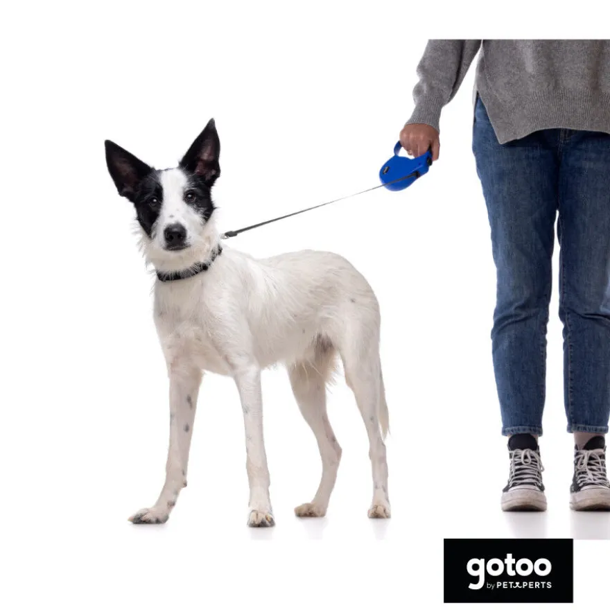 Gotoo Coleira de nylon preta para cães