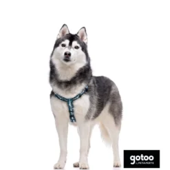 Gotoo peitoral estampado verde para cães