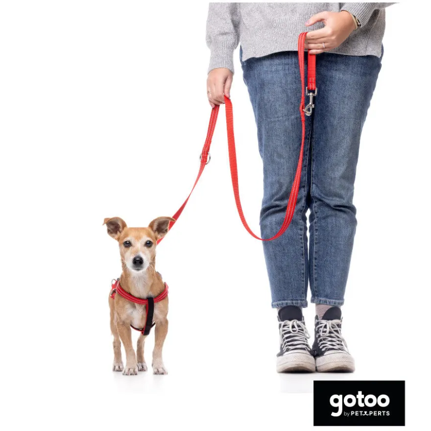 Gotoo Peitoral vermelho de nylon refletor para cães