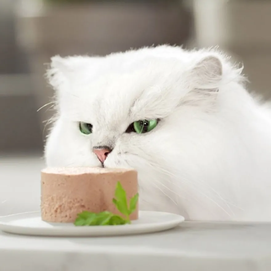 Gourmet Gold Mousse de Salmão em lata para gatos