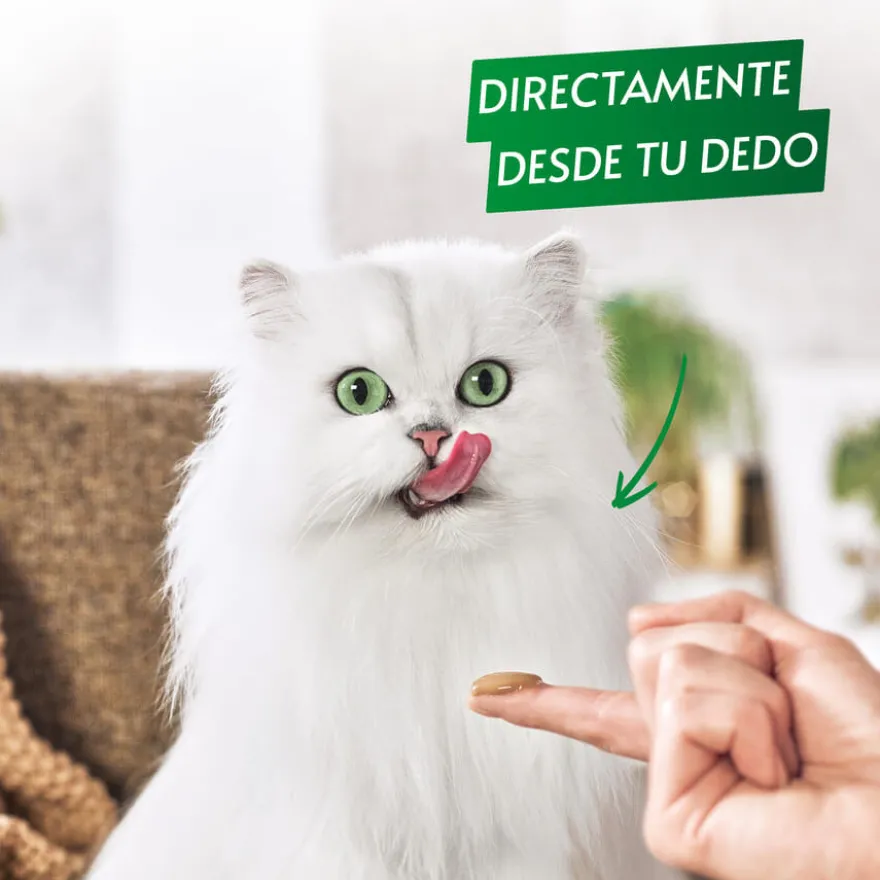 Gourmet Nature's Creations Snack Húmido de Boi para gatos