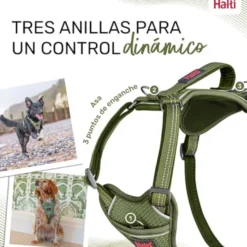 Halti Peitoral Anatómico Verde para cães pequenos