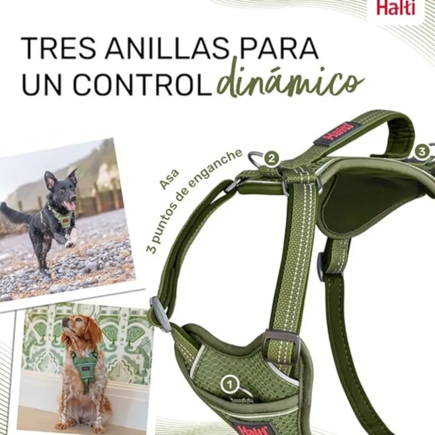 Halti Peitoral Anatómico Verde para cães pequenos
