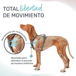 Halti Peitoral Anatómico Verde para cães pequenos