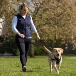 Halti Peitoral Anti-puxão Pequeno para Cães