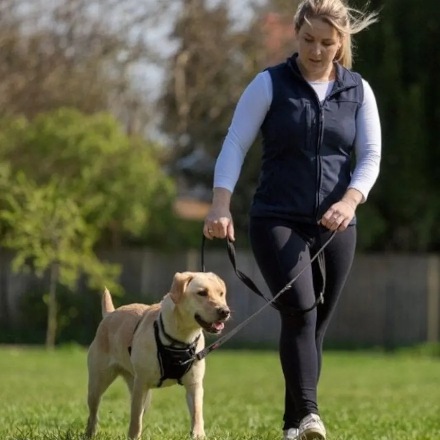 Halti Trela de treino vermelha para cães