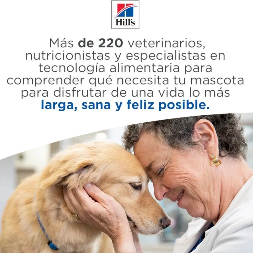Hill's Adult Perfect Weight Frango e legumes lata para cães
