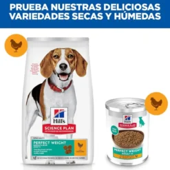 Hill's Adult Perfect Weight Frango e legumes lata para cães