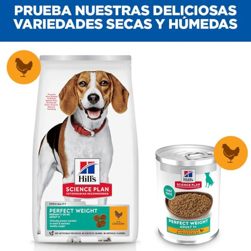 Hill's Adult Perfect Weight Frango e legumes lata para cães