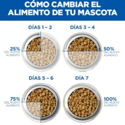 Hill's Adult Science Plan Perfect Digestion Frango ração para gatos