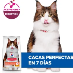 Hill's Adult Science Plan Perfect Digestion Frango ração para gatos
