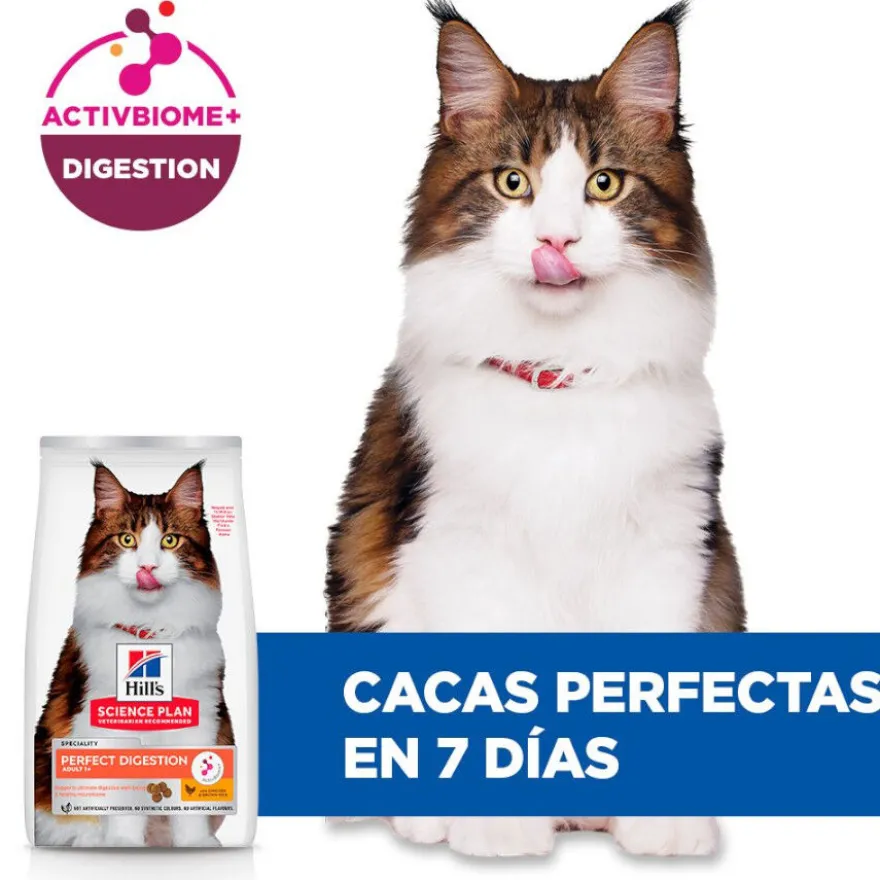 Hill's Adult Science Plan Perfect Digestion Frango ração para gatos
