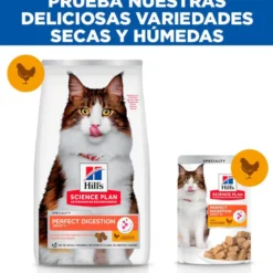 Hill's Adult Science Plan Perfect Digestion Frango ração para gatos