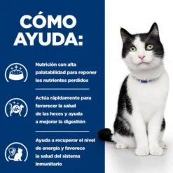 Hill's Feline Prescription Diet i/d saquetas - Multipack