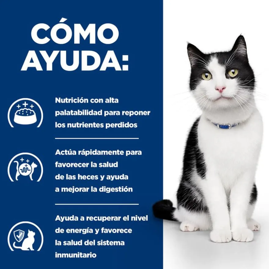 Hill's Feline Prescription Diet i/d saquetas - Multipack