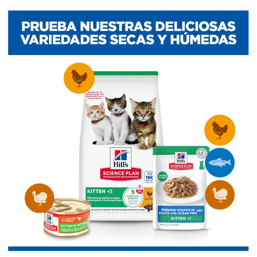 Hill's Kitten Science Plan Peixe Azul saqueta em molho
