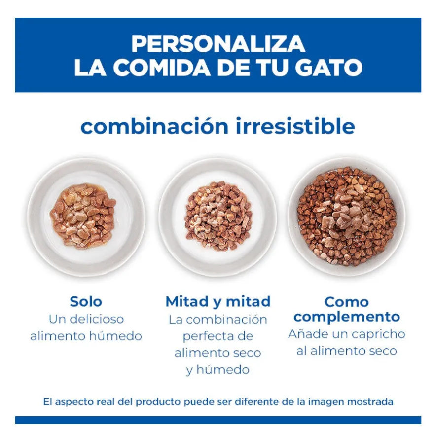 Hill's Kitten Science Plan Peixe Azul saqueta em molho