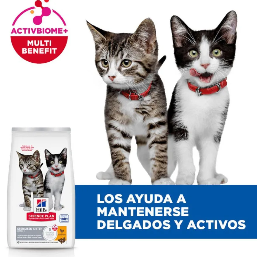 Hill's Kitten Science Plan Sterilized Frango ração