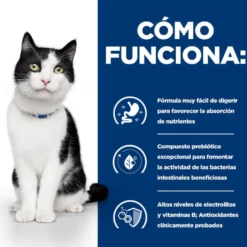 Hill's Prescription Diet Digestive Care i/d Frango ração para gatos