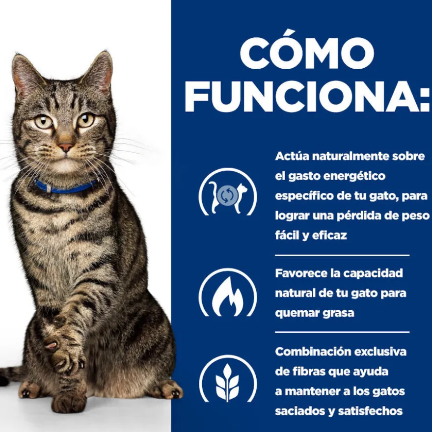 Hill's Prescription Diet Metabolic Guisado de Frango e Legumes lata para gatos
