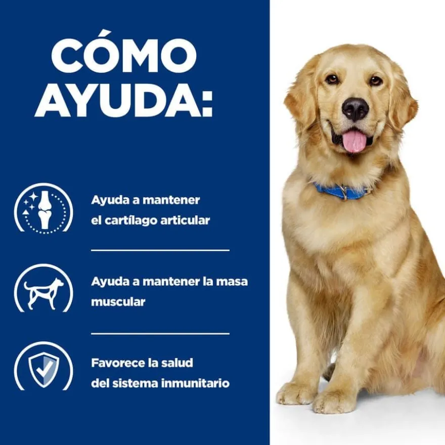 Hill's Prescription Diet Mobility J/D Frango ração para cães