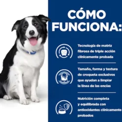 Hill's Prescription Diet t/d Dental Care Ração de frango para cães médios