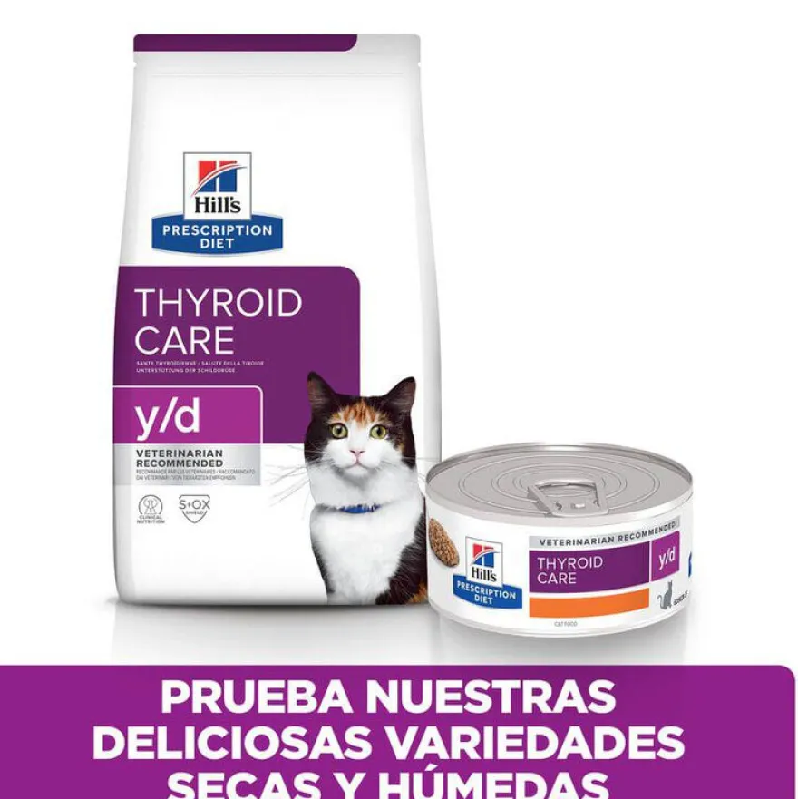 Hill's Prescription Diet Thyroid Care y/d ração para gatos