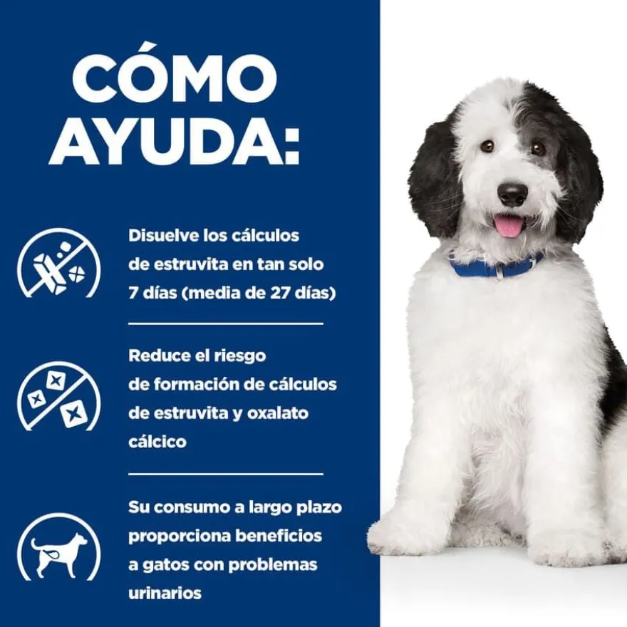 Hill's Prescription Diet Urinary Care Guisado de Frango e Legumes lata para cães