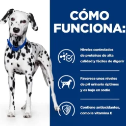 Hill's Prescription Diet Urinary Care u/d ração para cães