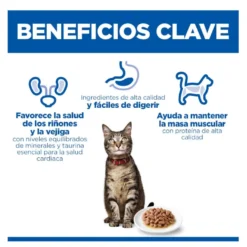 Hill's Science Plan Adult Comida húmida de vitela em saqueta para gatos