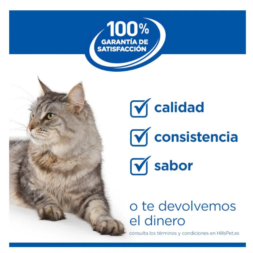 Hill's Science Plan Adult Comida húmida de vitela em saqueta para gatos