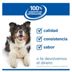 Hill's Science Plan Adult Large Breed Ração de frango para cães de raças grandes