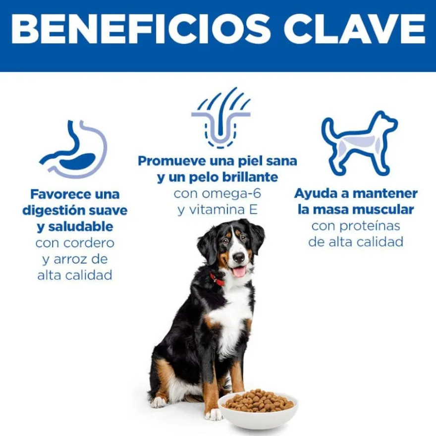 Hill's Science Plan Adult Large Breed Ração de cordeiro e arroz para cães de raças grandes