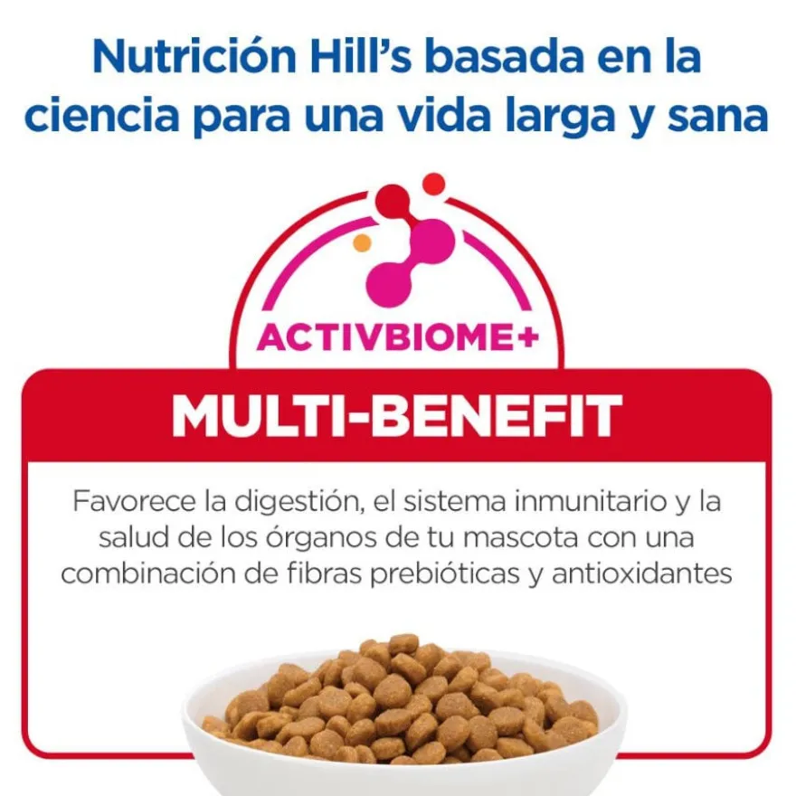 Hill's Science Plan Adult Large Breed Ração de cordeiro e arroz para cães de raças grandes