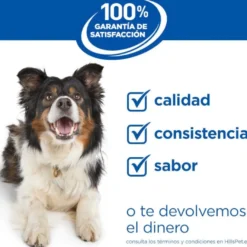 Hill's Science Plan Adult Large Breed Ração de cordeiro e arroz para cães de raças grandes