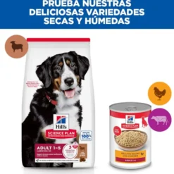 Hill's Science Plan Adult Large Breed Ração de cordeiro e arroz para cães de raças grandes